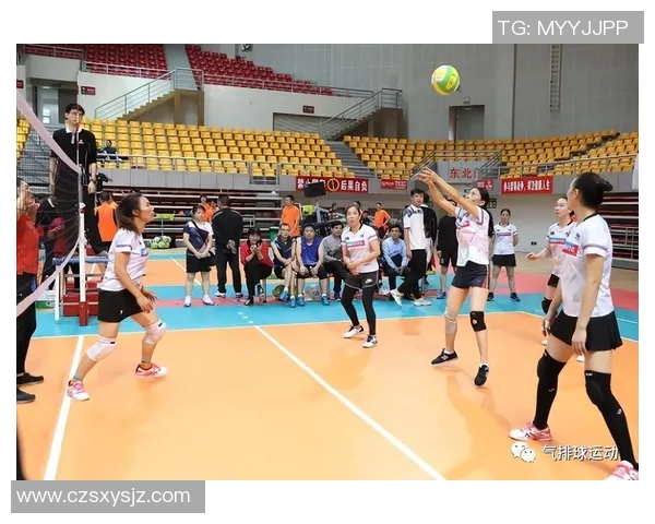 上海排球队的战术解析与运营体系研究探讨