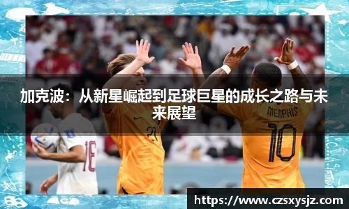 哈哈体育官网