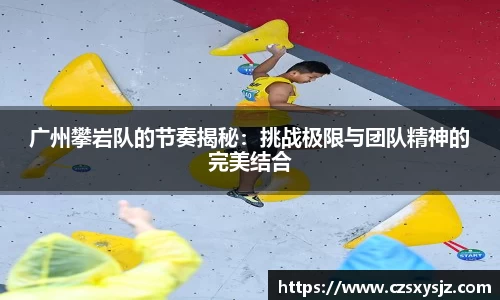 bsports官网